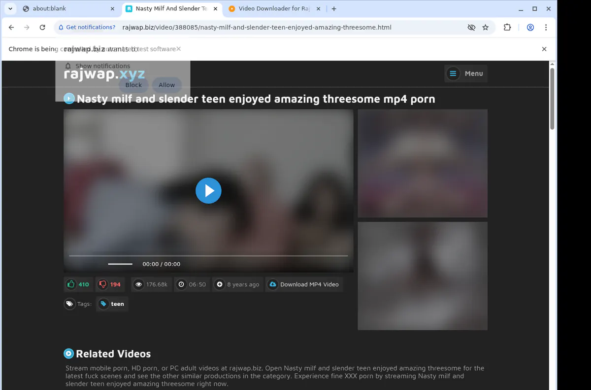 Rajwap Video Downloader browser extension screenshot 2