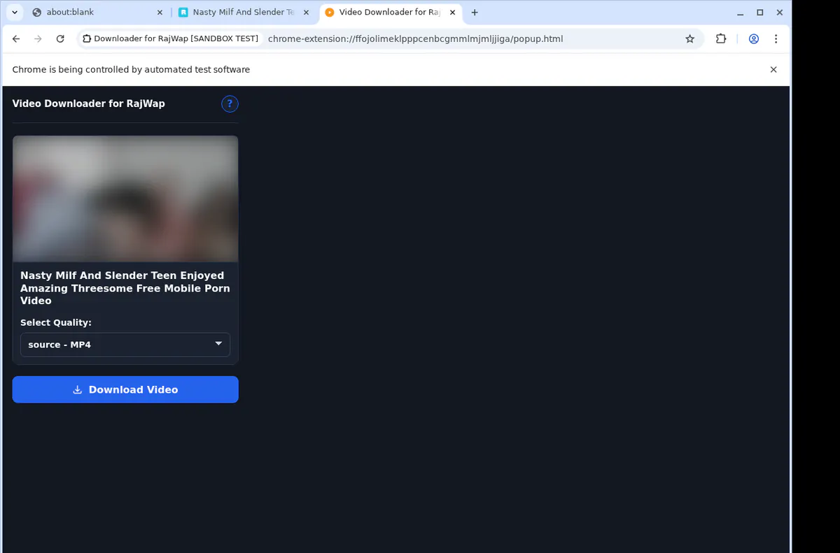 Rajwap Video Downloader browser extension screenshot 3